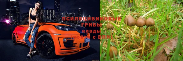 первитин Арсеньев