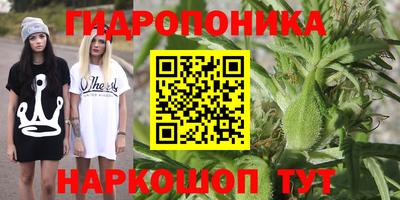 spice Аргун