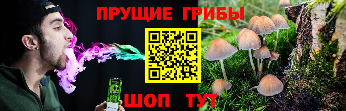 Белгород  Галлюциногенные грибы MAGIC MUSHROOMS  Псилоцибиновые грибы мицелий  Вход с VPN 
